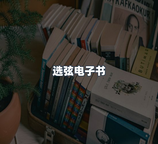 关于选弦电子书